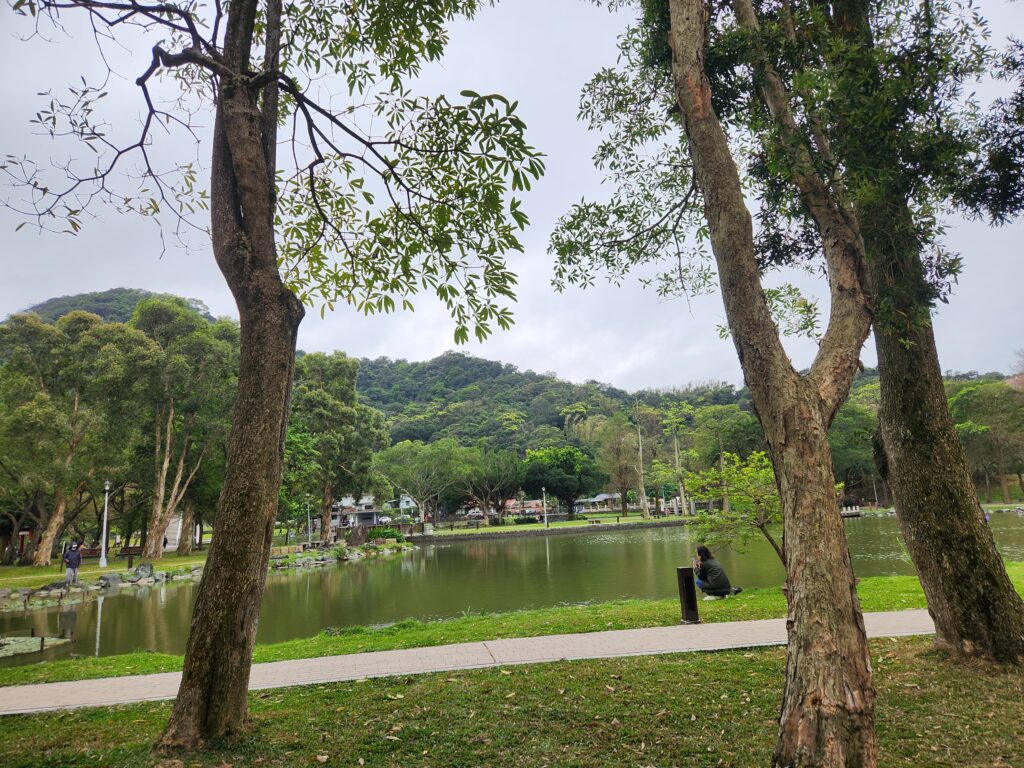 大湖公園 林蔭廣場面湖一隅