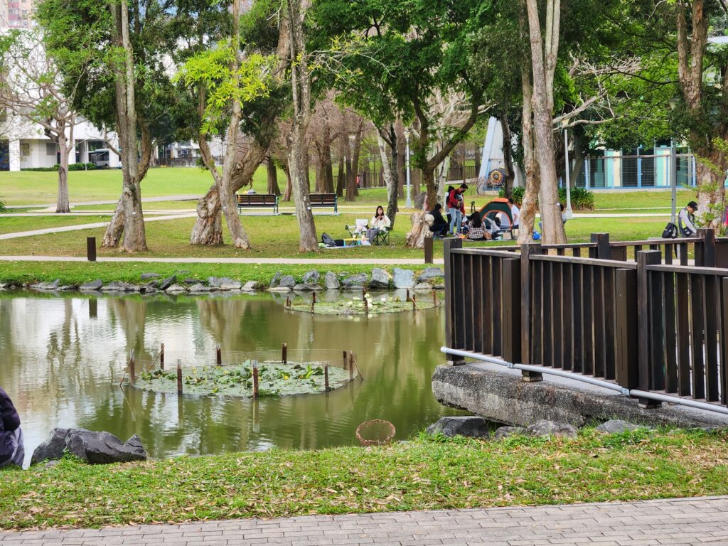 大湖公園 生氣蓬勃的荷花池